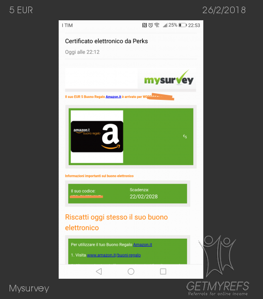 Pagamento 252 per Mysurvey