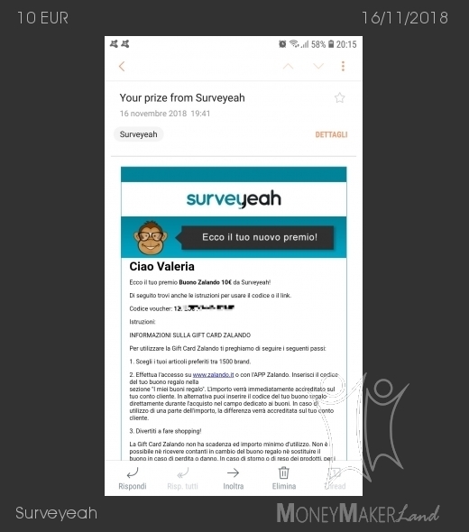 Payment 32 for Surveyeah