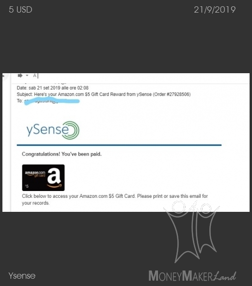 Payment 2484 for Ysense