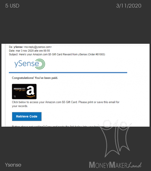 Payment 2739 for Ysense