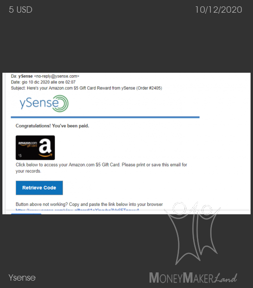 Payment 2754 for Ysense