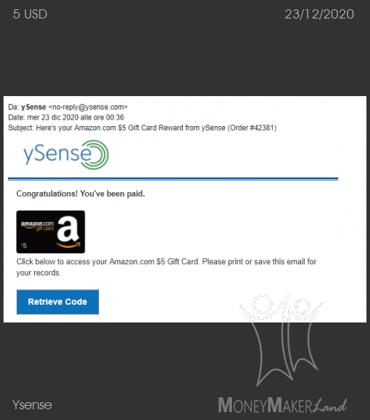 Payment 2767 for Ysense