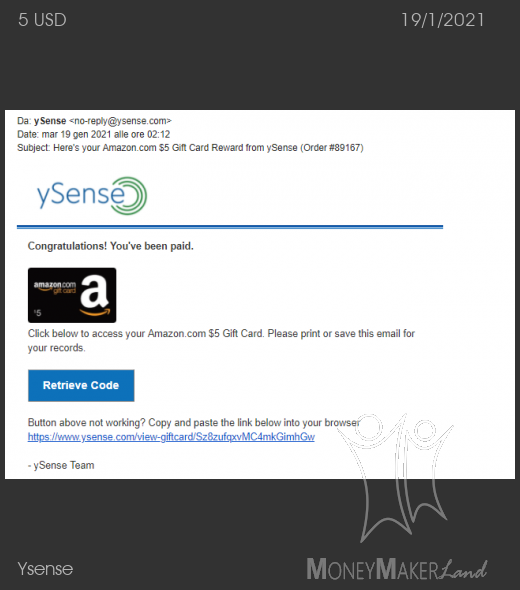 Payment 2771 for Ysense