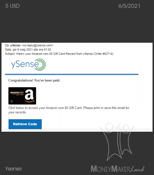 Payment 2810 for Ysense