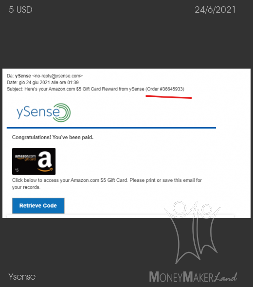 Payment 2838 for Ysense