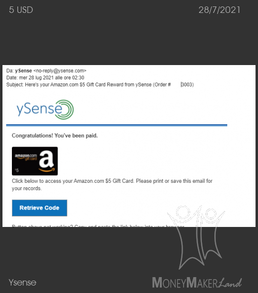 Payment 2849 for Ysense