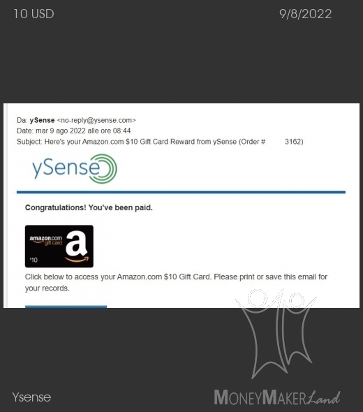 Payment 2830 for Ysense