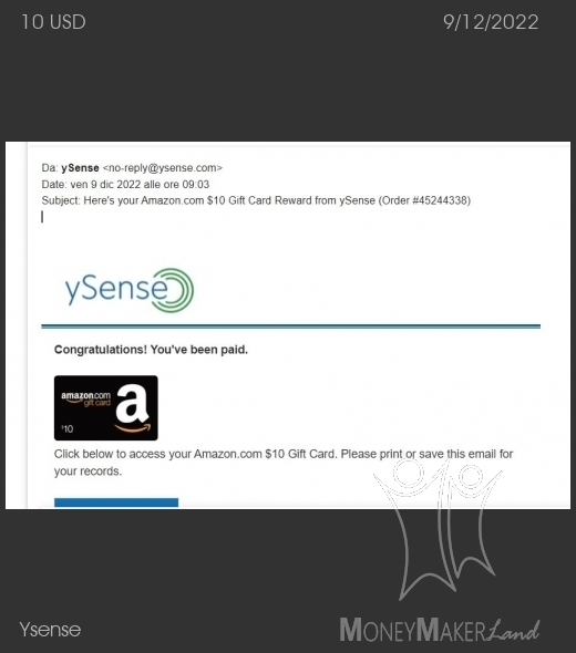 Payment 2839 for Ysense