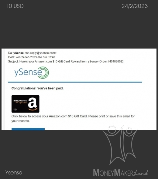 Payment 2847 for Ysense