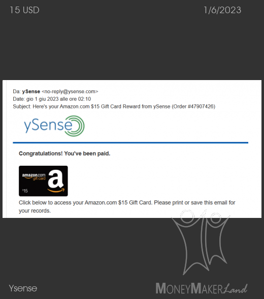 Payment 2861 for Ysense