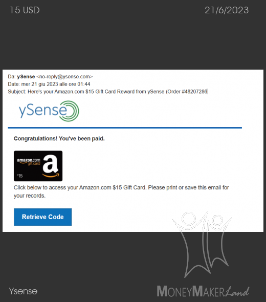 Payment 2863 for Ysense